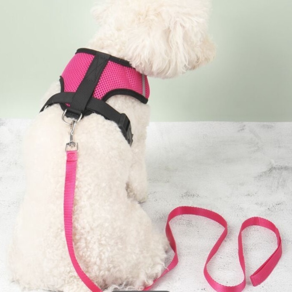 Beautiful Pet Chest & Back Strap Breathable Vest Style Dog Walking Tool